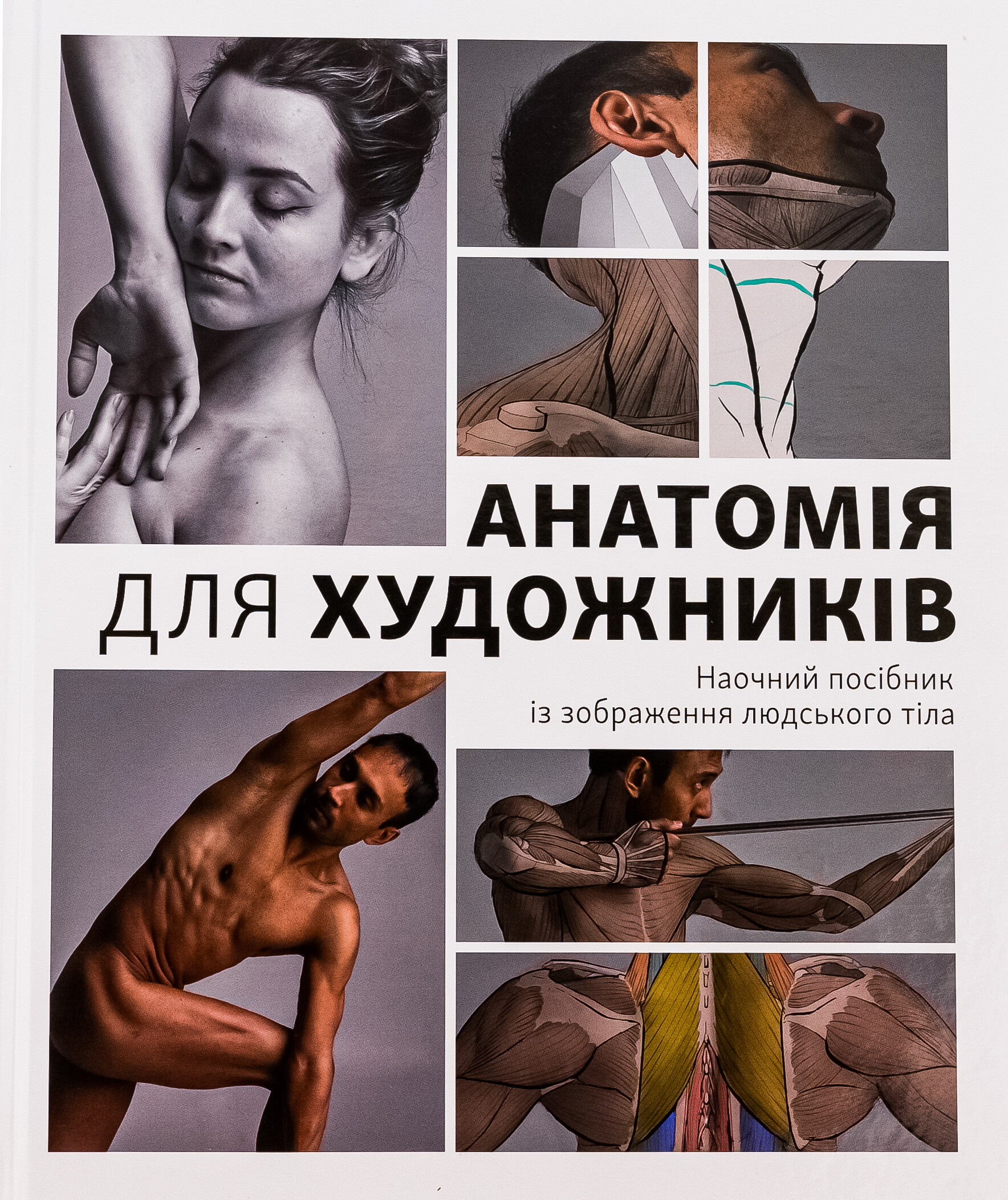 Анатомія для художників