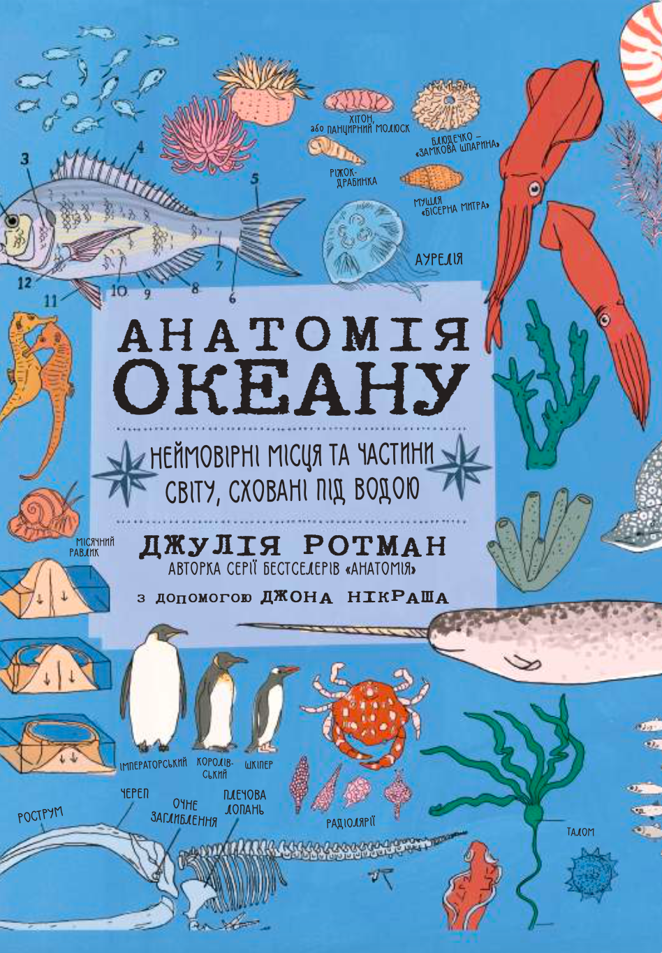 Анатомія океану