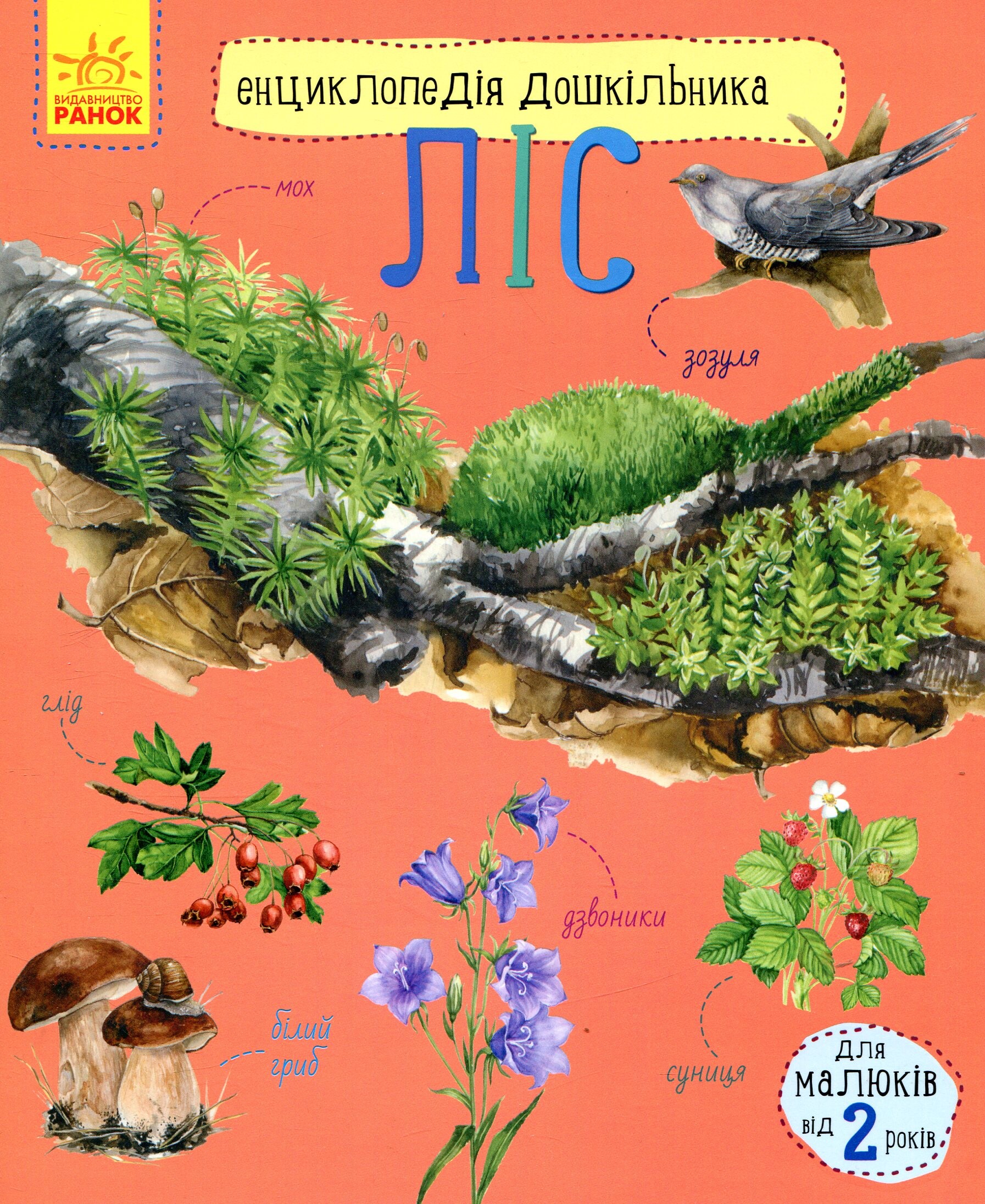 Енциклопедія дошкільника. Ліс