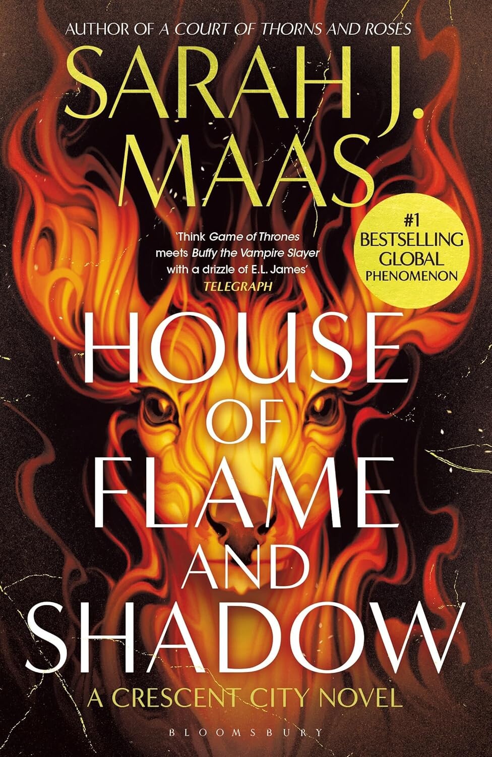 House of Flame and Shadow (Bestseller Paperback)