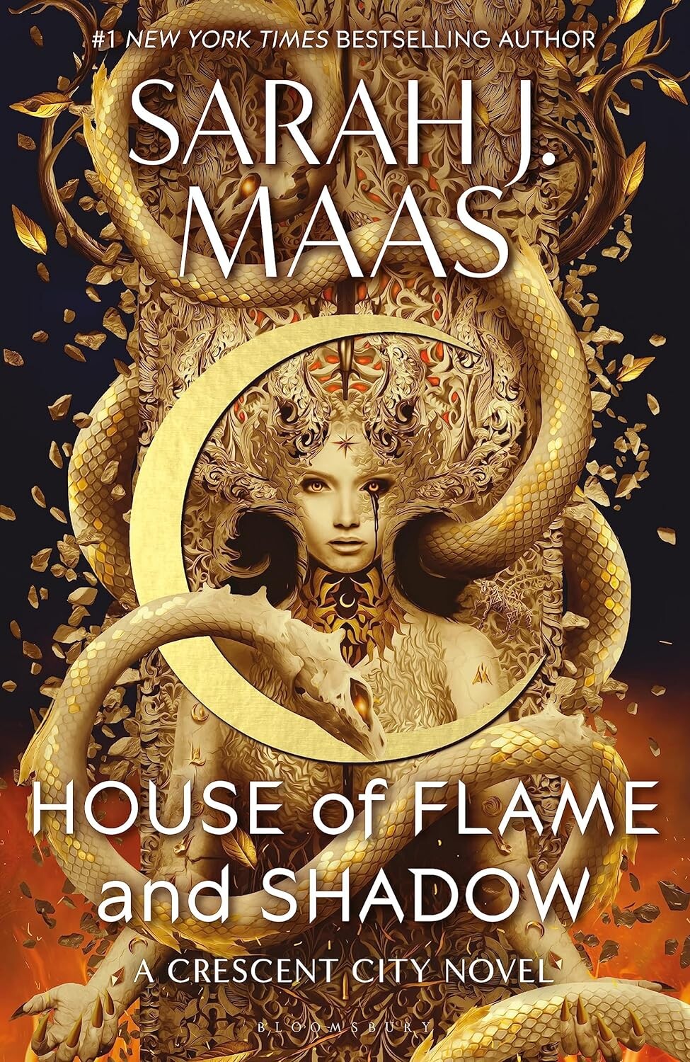 House of Flame and Shadow (Paperback Edition)
