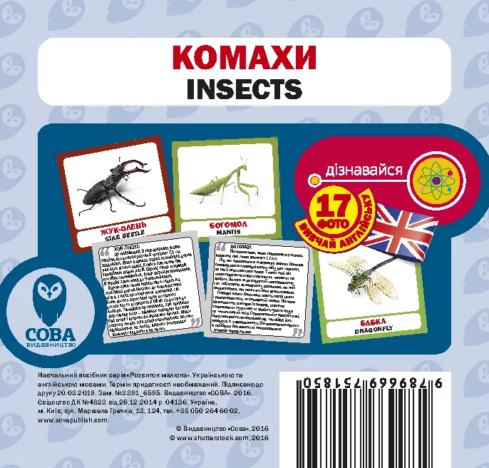 Комахи. 17 карток англійською