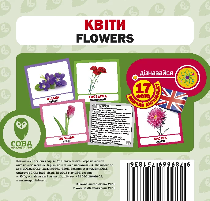 Квіти. 17 карток англійською