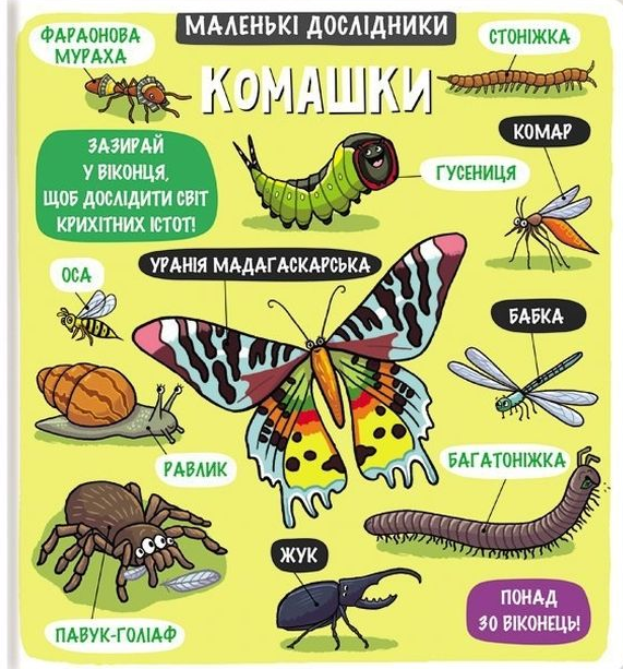 Маленькі дослідники. Комашки