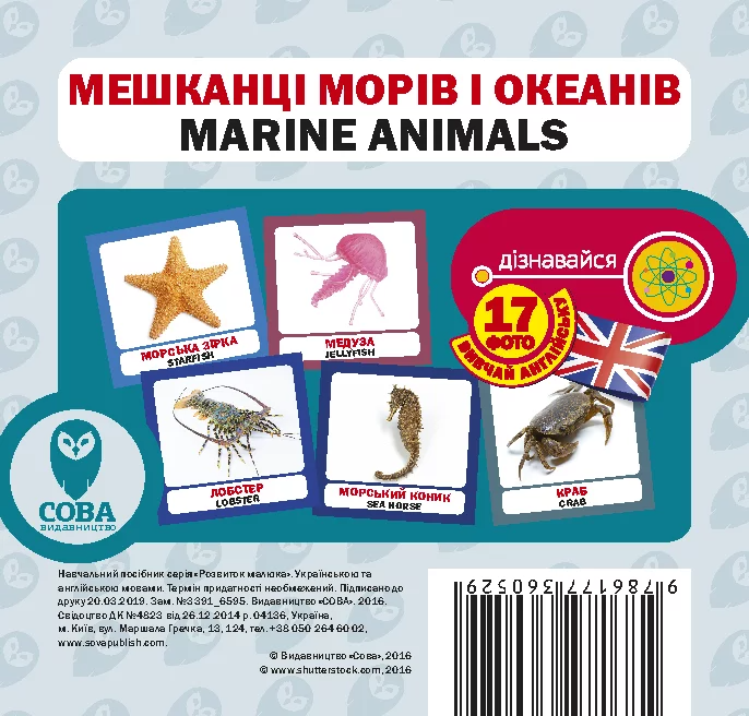 Мешканці морів і океанів. 17 карток англійською