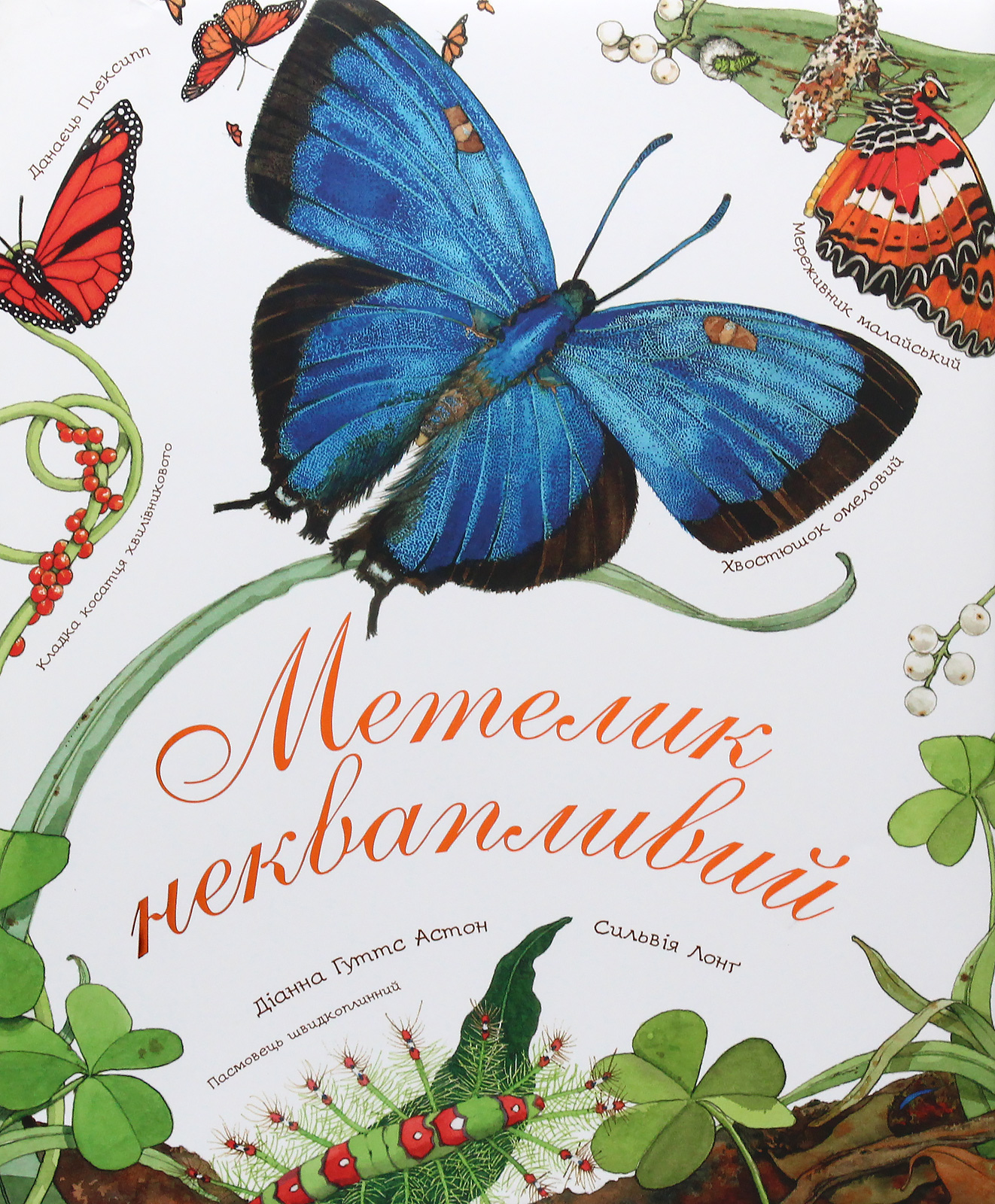 Метелик неквапливий