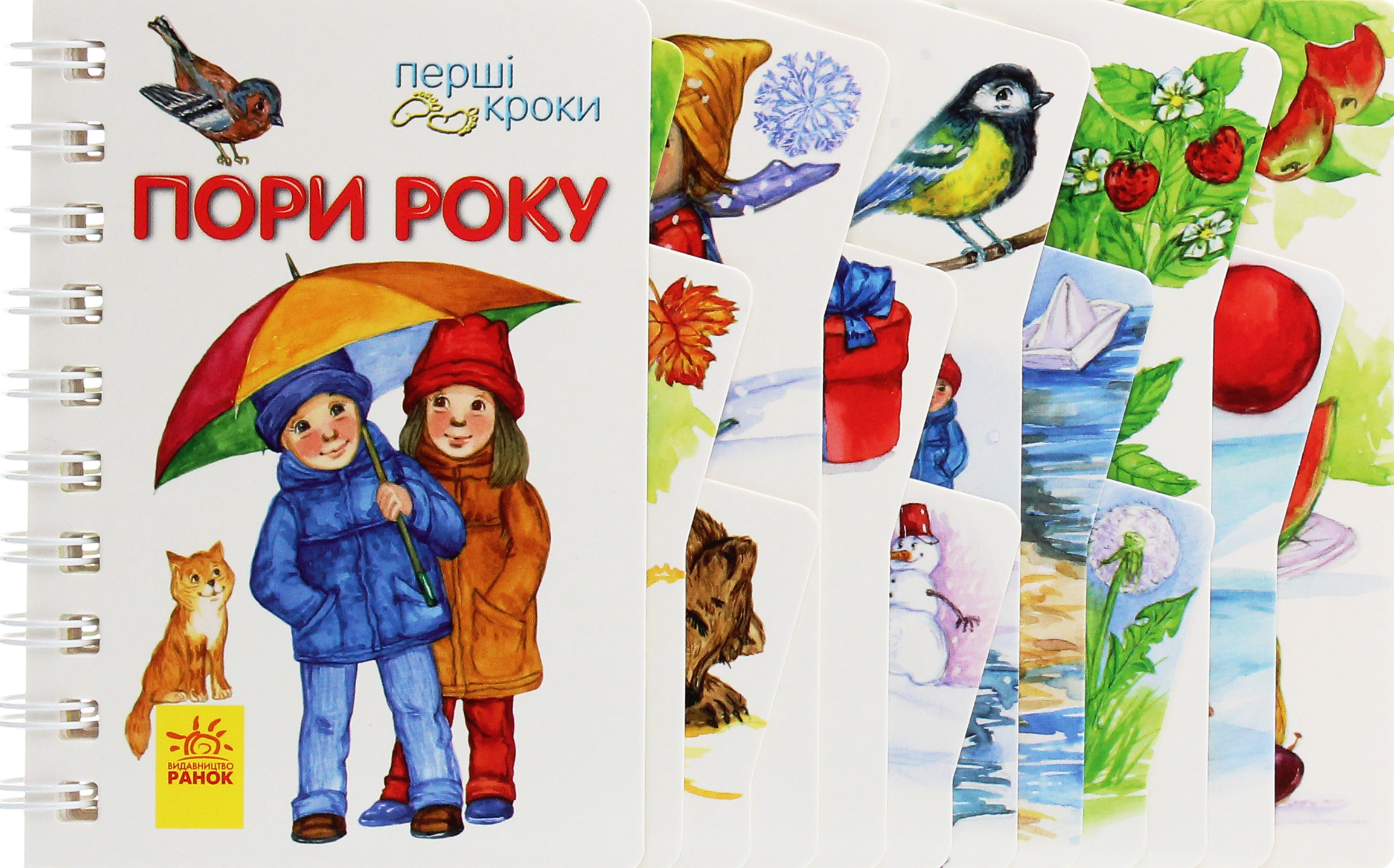 Перші кроки. Пори року