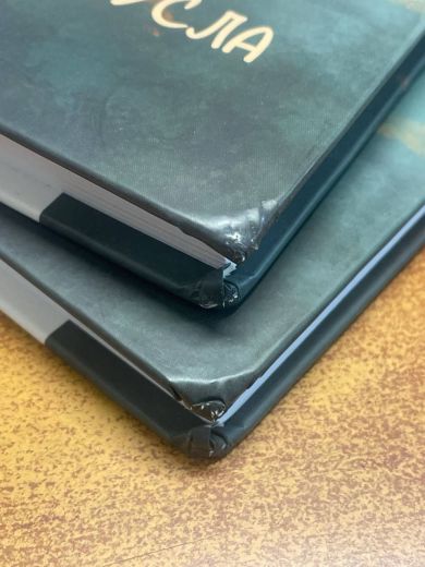 Полювання на чорного бусла (Маркетплейс)