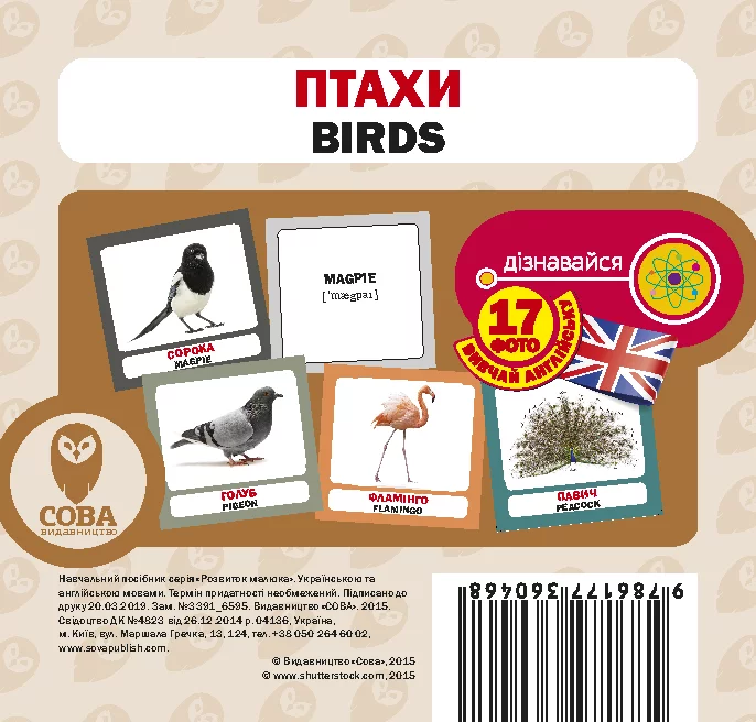 Птахи / Birds. 17 карток