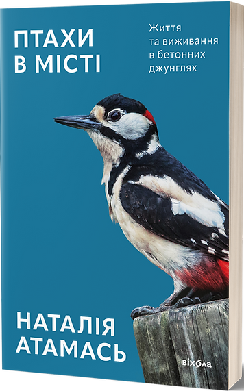 Птахи в місті