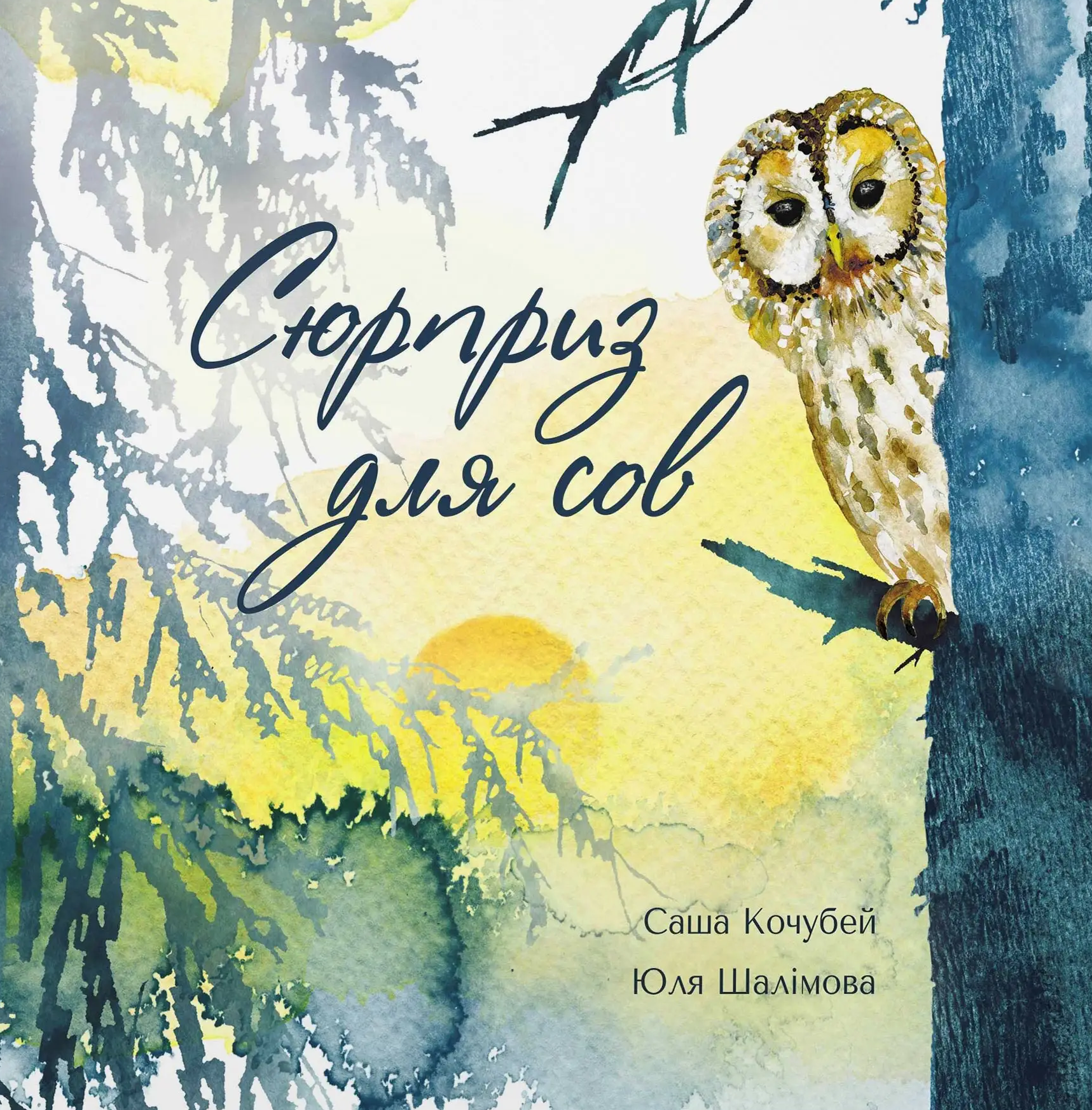 Сюрприз для сов