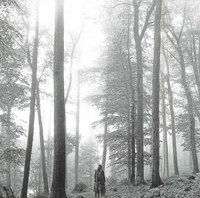 Taylor Swift – Folklore (CD, Album, Deluxe Edition, "In The Trees")