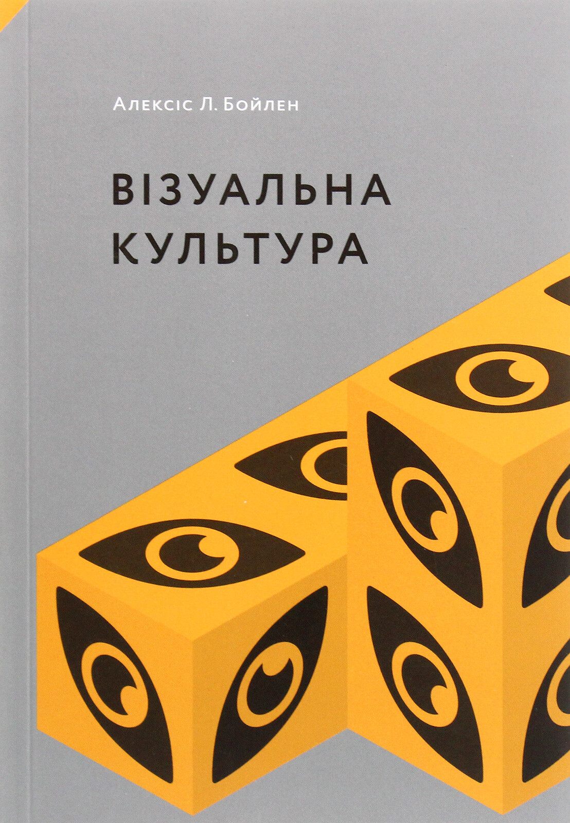 Візуальна культура