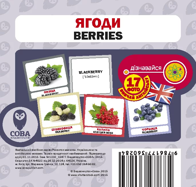 Ягоди. 17 карток англійською