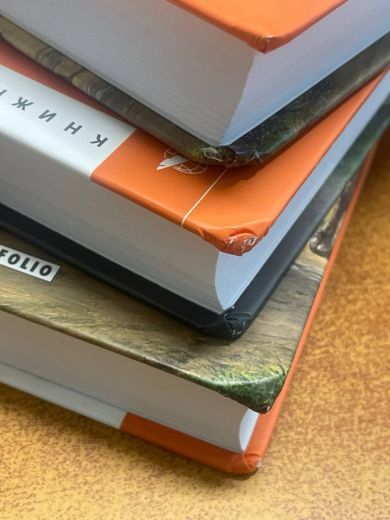 Звіяні вітром. Книга 1 (Маркетплейс)