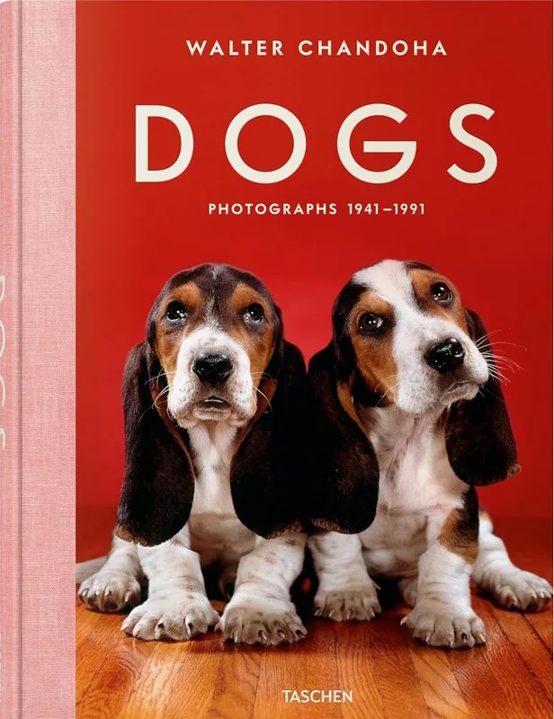 Dogs: Photographs 1941-1991