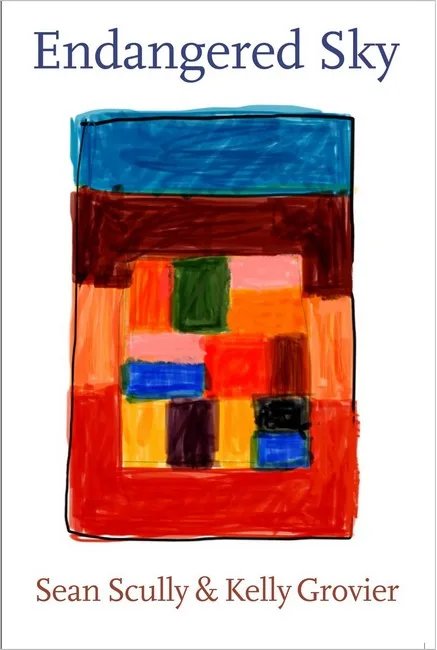 Endangered Sky. Sean Scully & Kelly Grovier