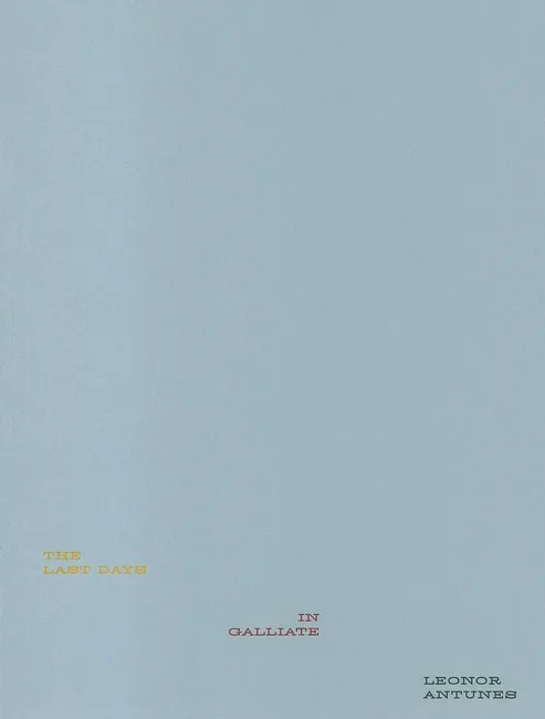 Leonor Antunes: The Last Days in Galliate