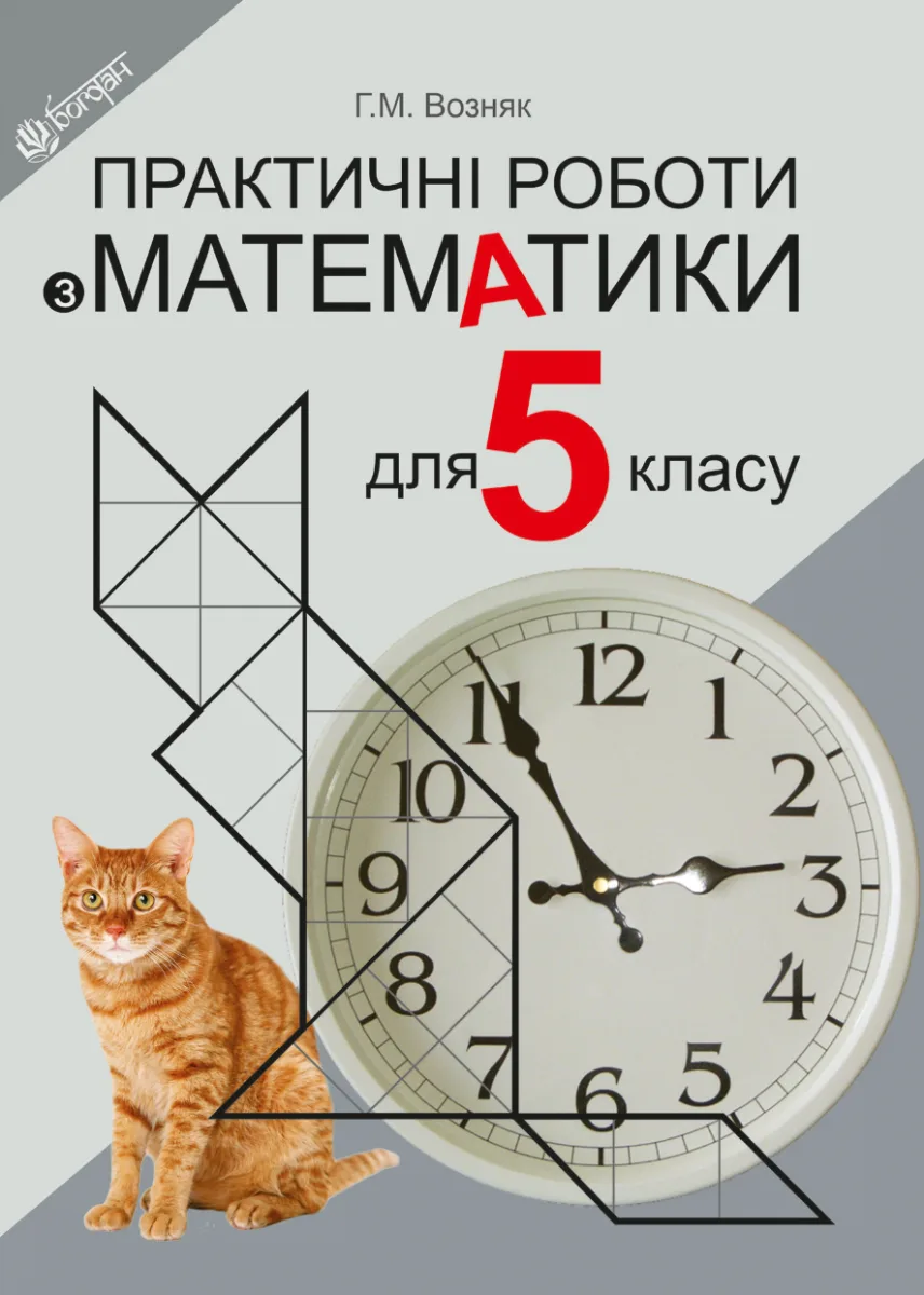 Практичні роботи з математики. 5 клас (Електронна книга)