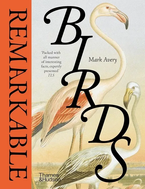 Remarkable Birds.